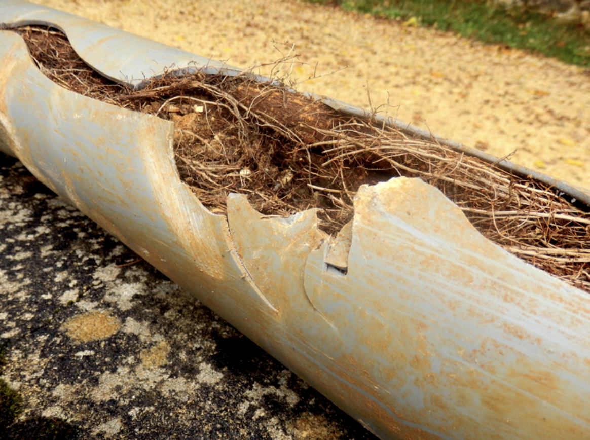 Manhole Root Control Sewer System Basics: Root Control and Preventive Maintenance | Cleaner