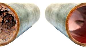 Before And After Nu Line