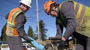 Brashear Harts Services 78800