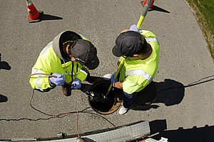 Tapping into Insight