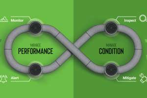 Assessment Lifecycle