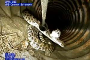 Screen Shot 2022 05 10 At 2 16 49 Pm