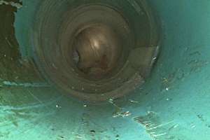 Screen Shot 2016 10 05 At 8 18 58 Am