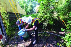 140821 Naunheim Cole Cleaner Sak 050