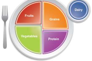 2524 Myplate