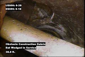 5 Craziest Baseball Bat