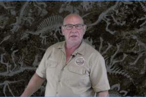 Screen Shot 2020 07 22 At 8 38 52 Am