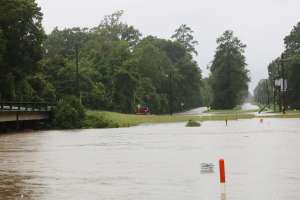 Harvey Help Stone Age