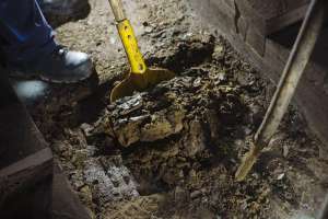 So47 C67 Jbrbm3 Mj5 Pgzox3 Cy5 I