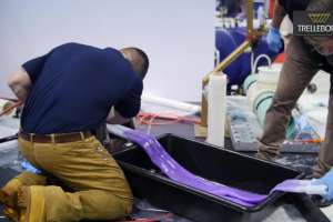 WWETT2017 Trelleborg 170613 152545