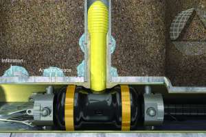 Avanti International Av 100