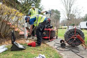 Bizzy Bee Plumbing 20200305 11