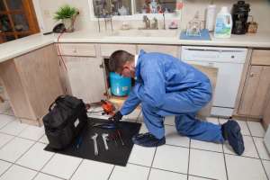 Bluefrog Plumbing Drain Cleaner Magazine