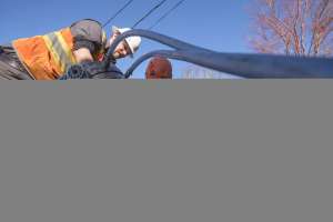 Brashear harts services 58663 200114 163941