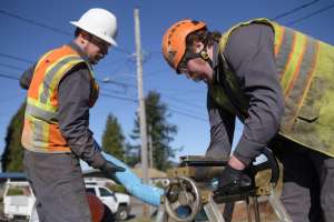 Brashear Harts Services 78800