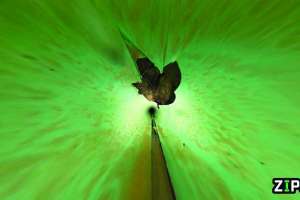 Can Ex Technologies Case Study