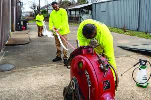 Cleaner Memphis Cherry 12