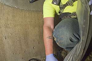 Tapping into Insight