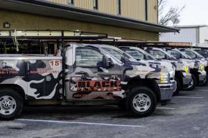 Dsc 7380Cj Photography