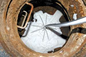 Duke Ys Root Control Case Study