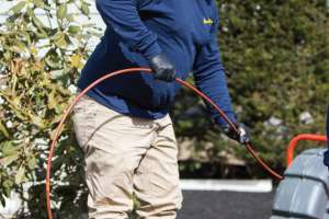 Royal Flush Plumbing Is the Best Hand in the Game