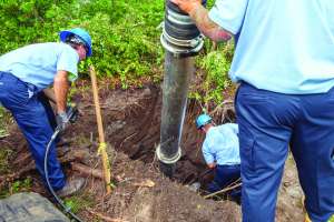 Herrera msw palmcoastfl 8