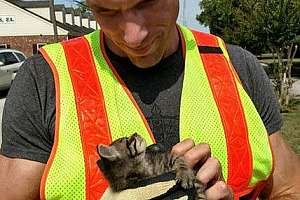 Morehead city 170626 082030