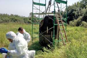 Neopoxy International Case Study