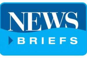 News Briefs Msw