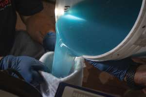 Peerless Plumbing013