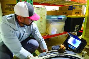 Pitherplumbing 146