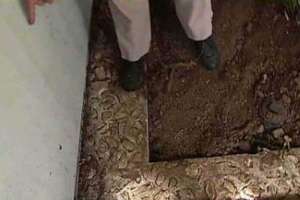 Plumber Sewer Connection 2