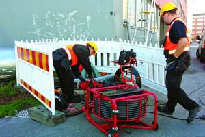 Product Spotlight Picote Maxi Power