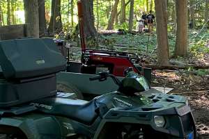 Speedy Light In Woods