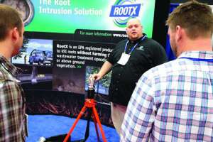 Wwettspotlight Rootx 1